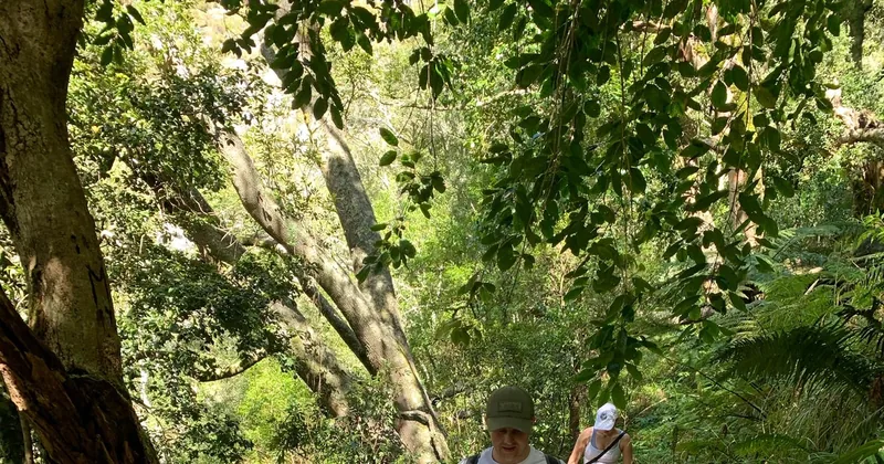 Wanderung Skeleton Gorge & Kirstenbosch