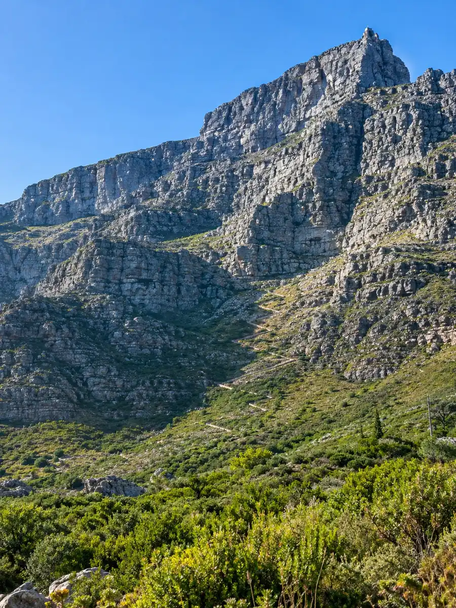 Die steile Sandsteinfront des Tafelbergs mit einem Steinpfad, der durch Fynbos eine breite Schlucht hinaufführt