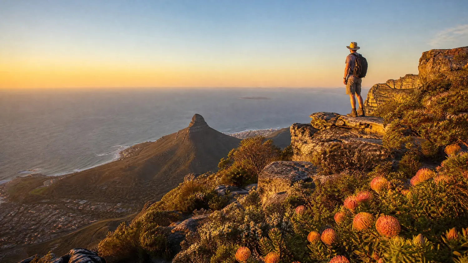 Ein Wanderer mit Sonnenhut auf einem Sandsteinvorsprung zwischen orangefarbenen Nadelkissen-Proteen zur goldenen Stunde, unten Lion's Head und der Atlantik