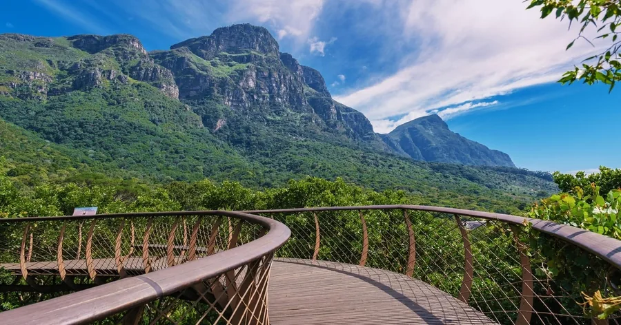 Der geschwungene Baumwipfelpfad Boomslang im Botanischen Garten Kirstenbosch, dahinter der Berg